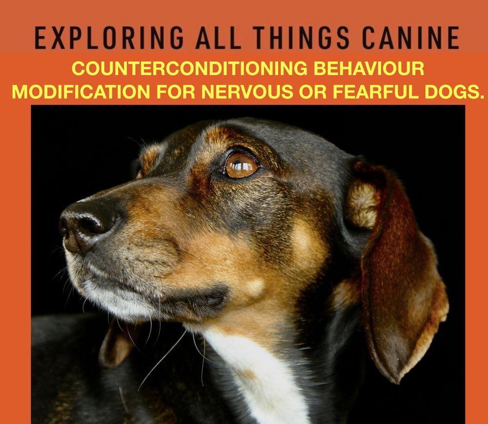 COUNTERCONDITIONING BEHAVIOUR MODIFICATION FOR NERVOUS AND FEARFUL DOGS